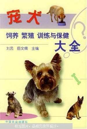 宠犬饲养全攻略 从日常照顾到互动陪伴