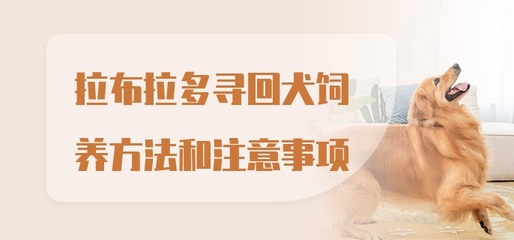 拉布拉多寻回犬饲养方法和注意事项